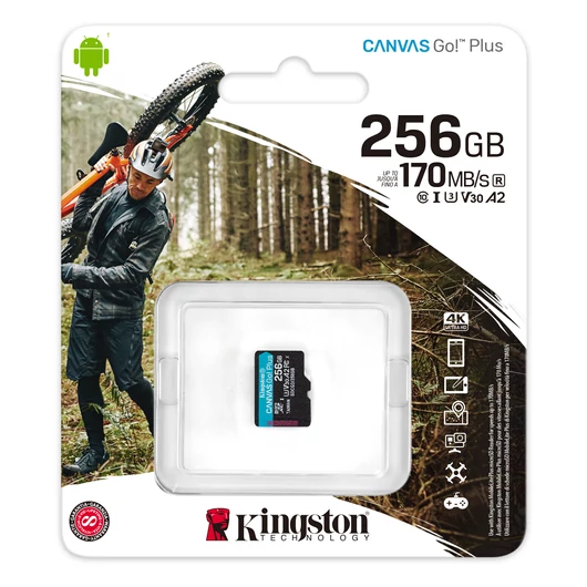 Kingston Canvas Go! Plus microSDXC 256GB Class 10 UHS-I U3 V30 A2 (170/90 MB/s)